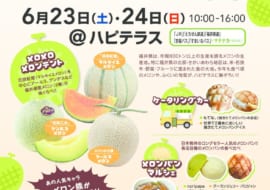 花咲ふくい メロンまつり(ハピテラス)のサムネイル