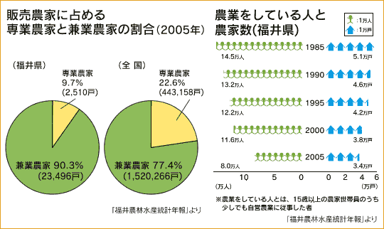 稲作農家の仕事 米づくり ふくいの農業